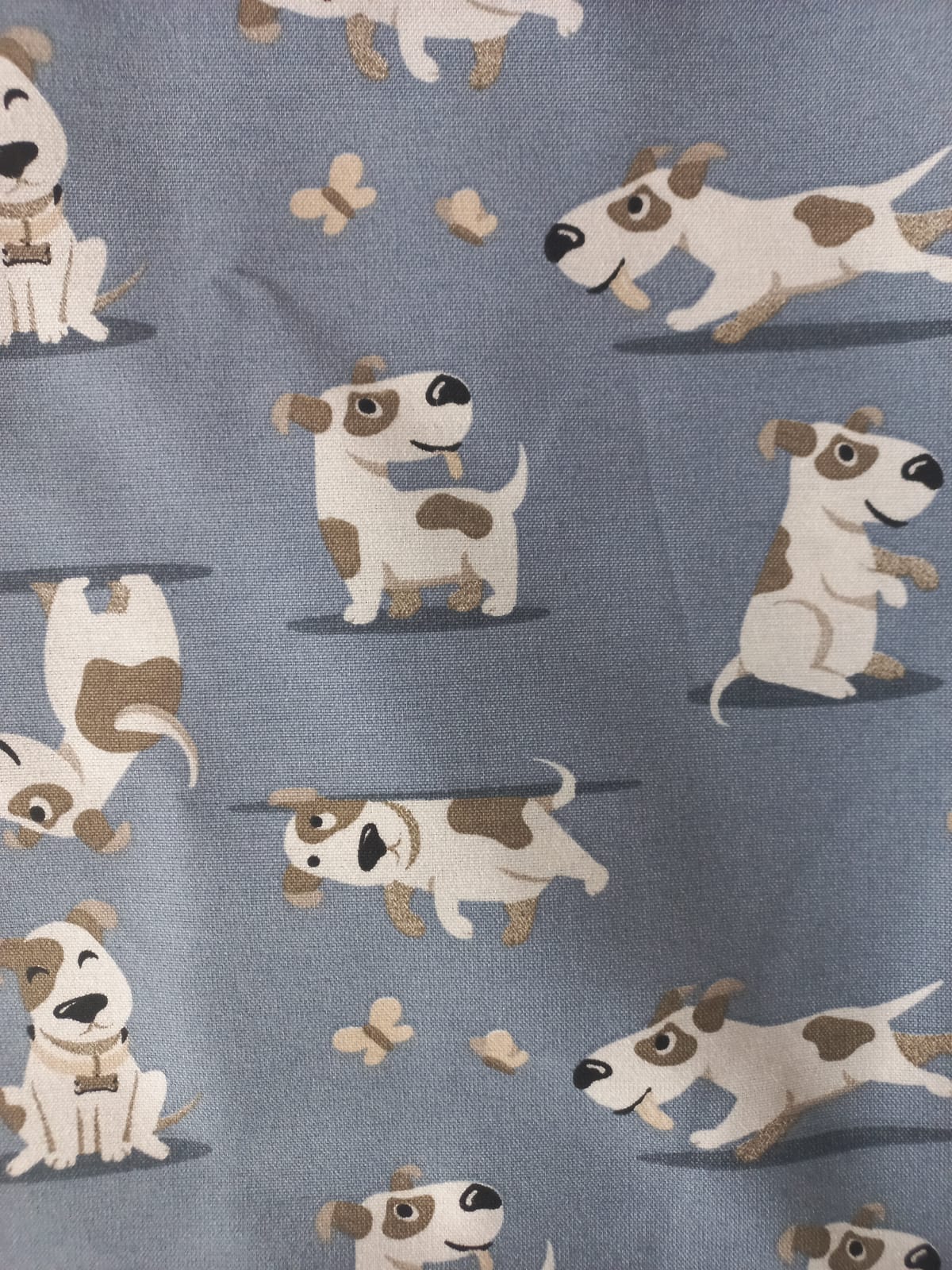 KIT ESCOLAR PERRITOS